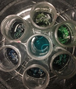 From Jacque: I love the idea of sharing what we’ve been working on during this time that we’re all stuck at home. I’ve been making up a sample book of wool yarn dyed with Lanaset dyes. I made up 5 gram skeins of yarn and dyed them in batches - one in each canning jar. That way you get seven dye baths in one dye session (or 14 if you have 2 dyepots).